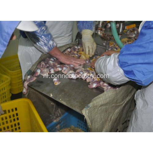 Poultry Gizzard Processing Machine